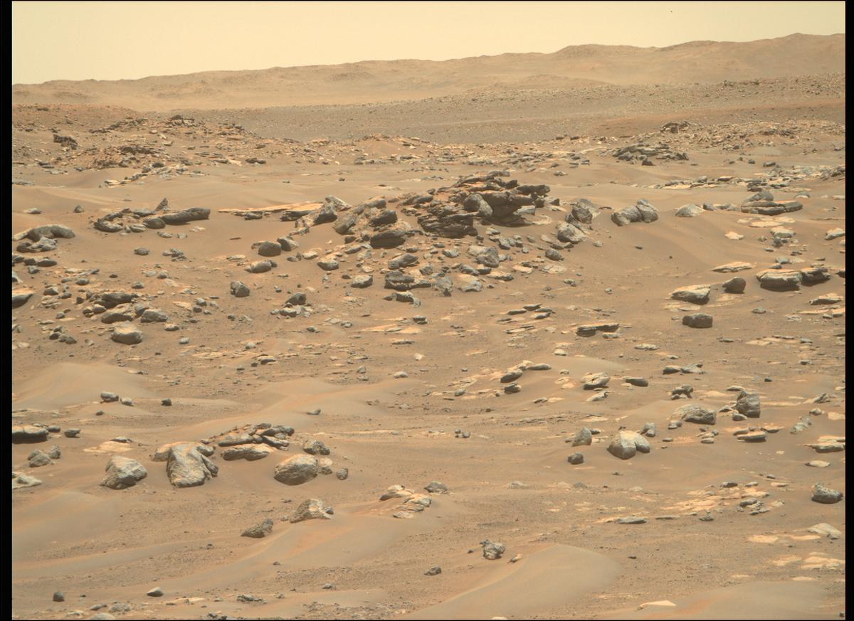 This image was taken by MCZ_RIGHT onboard NASA's Mars rover Perseverance on Sol 199