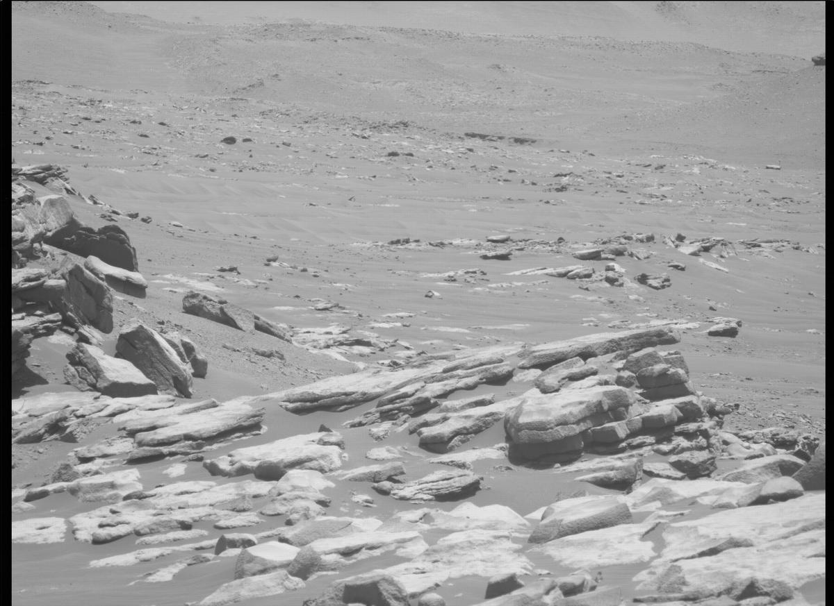 This image was taken by MCZ_LEFT onboard NASA's Mars rover Perseverance on Sol 200