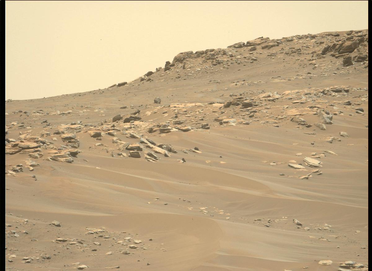 This image was taken by MCZ_LEFT onboard NASA's Mars rover Perseverance on Sol 201
