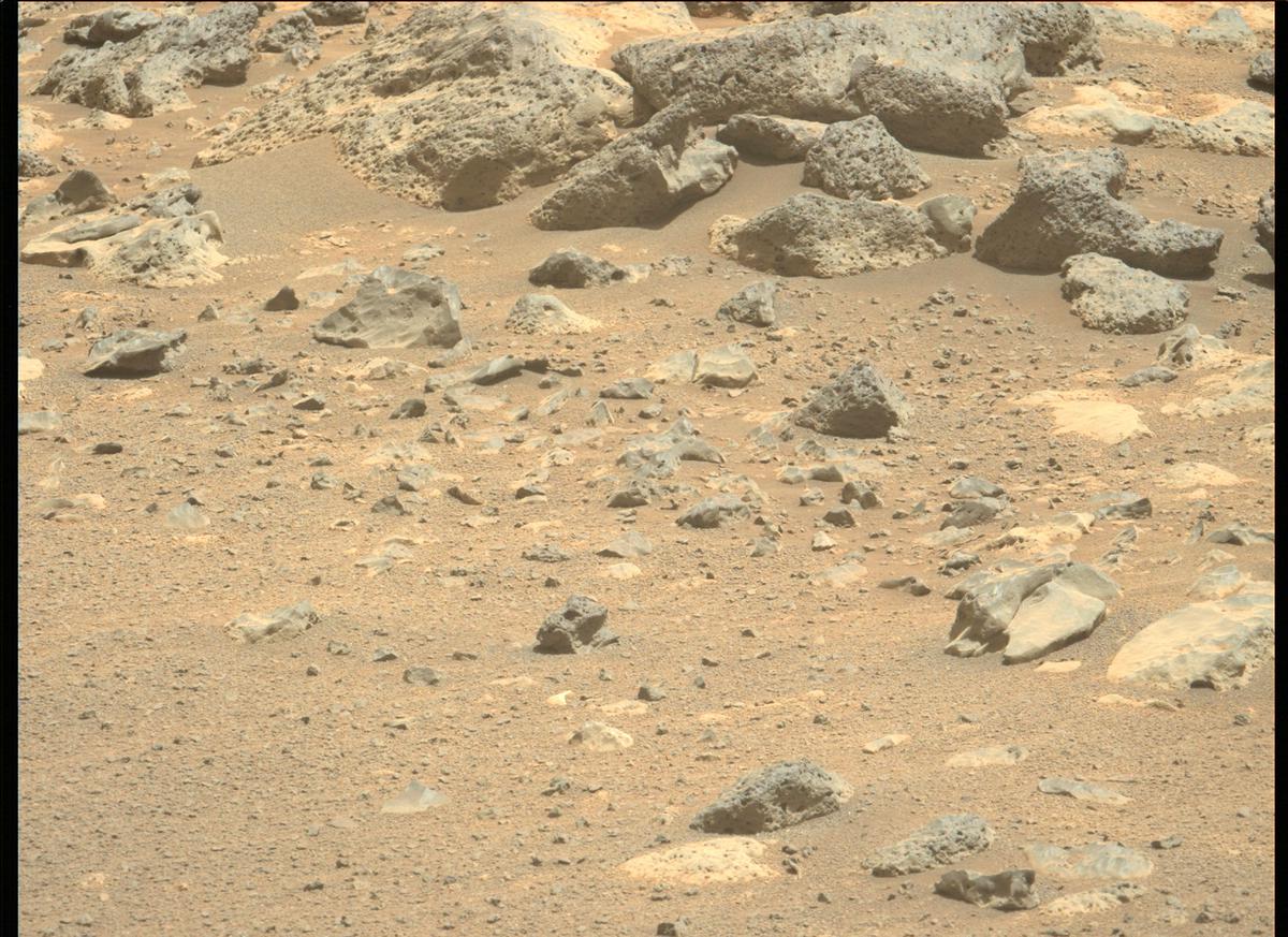 This image was taken by MCZ_LEFT onboard NASA's Mars rover Perseverance on Sol 201