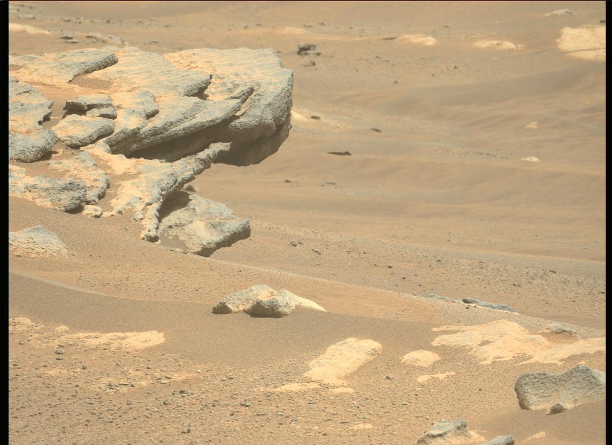 This image was taken by MCZ_LEFT onboard NASA's Mars rover Perseverance on Sol 201