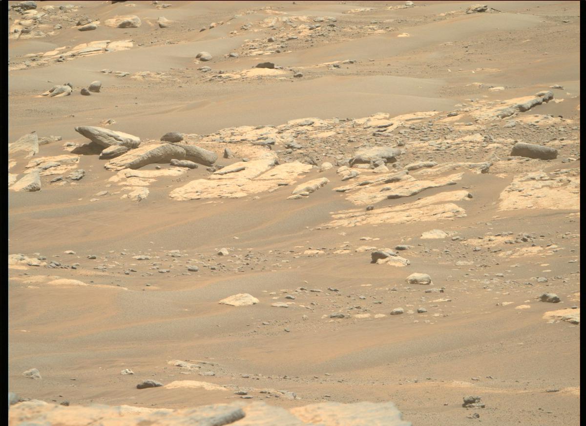 This image was taken by MCZ_RIGHT onboard NASA's Mars rover Perseverance on Sol 201