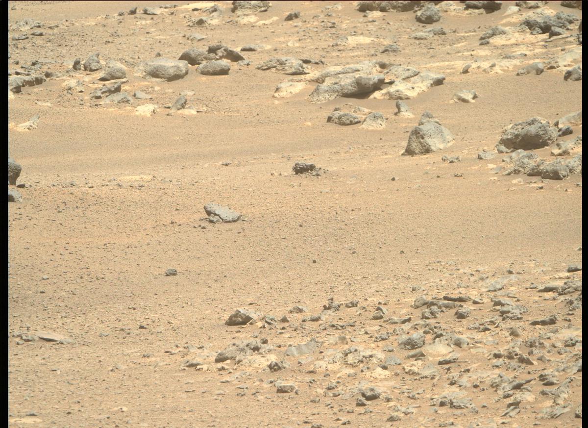 This image was taken by MCZ_RIGHT onboard NASA's Mars rover Perseverance on Sol 201