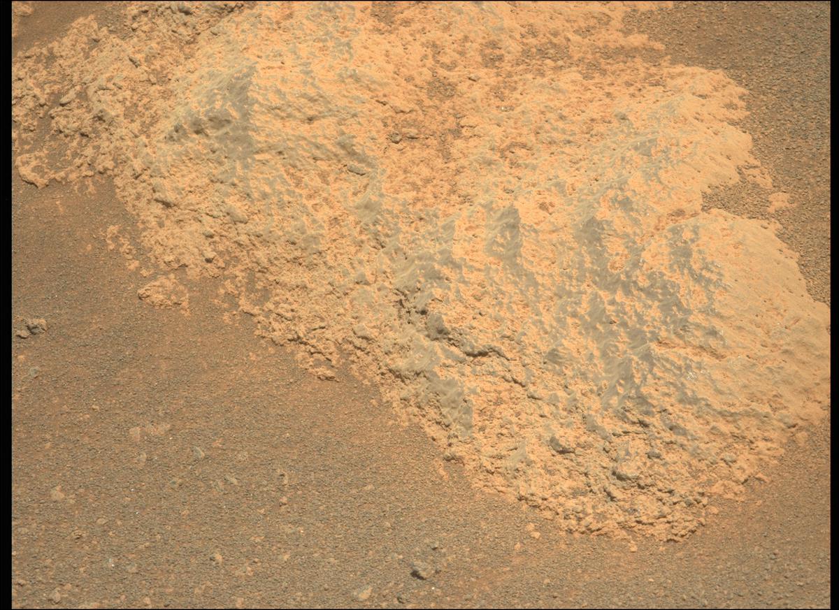 This image was taken by MCZ_LEFT onboard NASA's Mars rover Perseverance on Sol 202