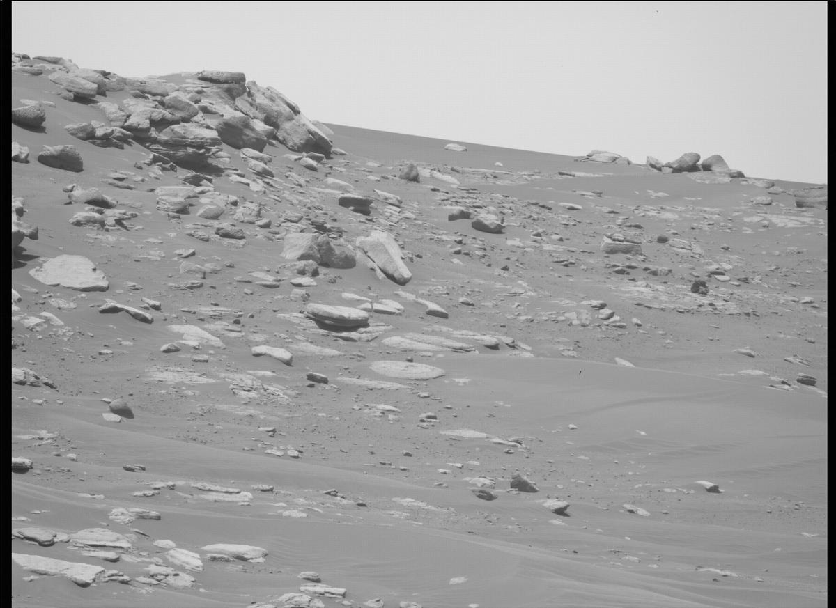This image was taken by MCZ_RIGHT onboard NASA's Mars rover Perseverance on Sol 202