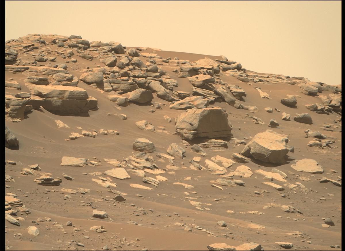 This image was taken by MCZ_RIGHT onboard NASA's Mars rover Perseverance on Sol 202