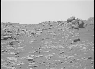 View image taken on Mars, Mars Perseverance Sol 202: Right Mastcam-Z Camera