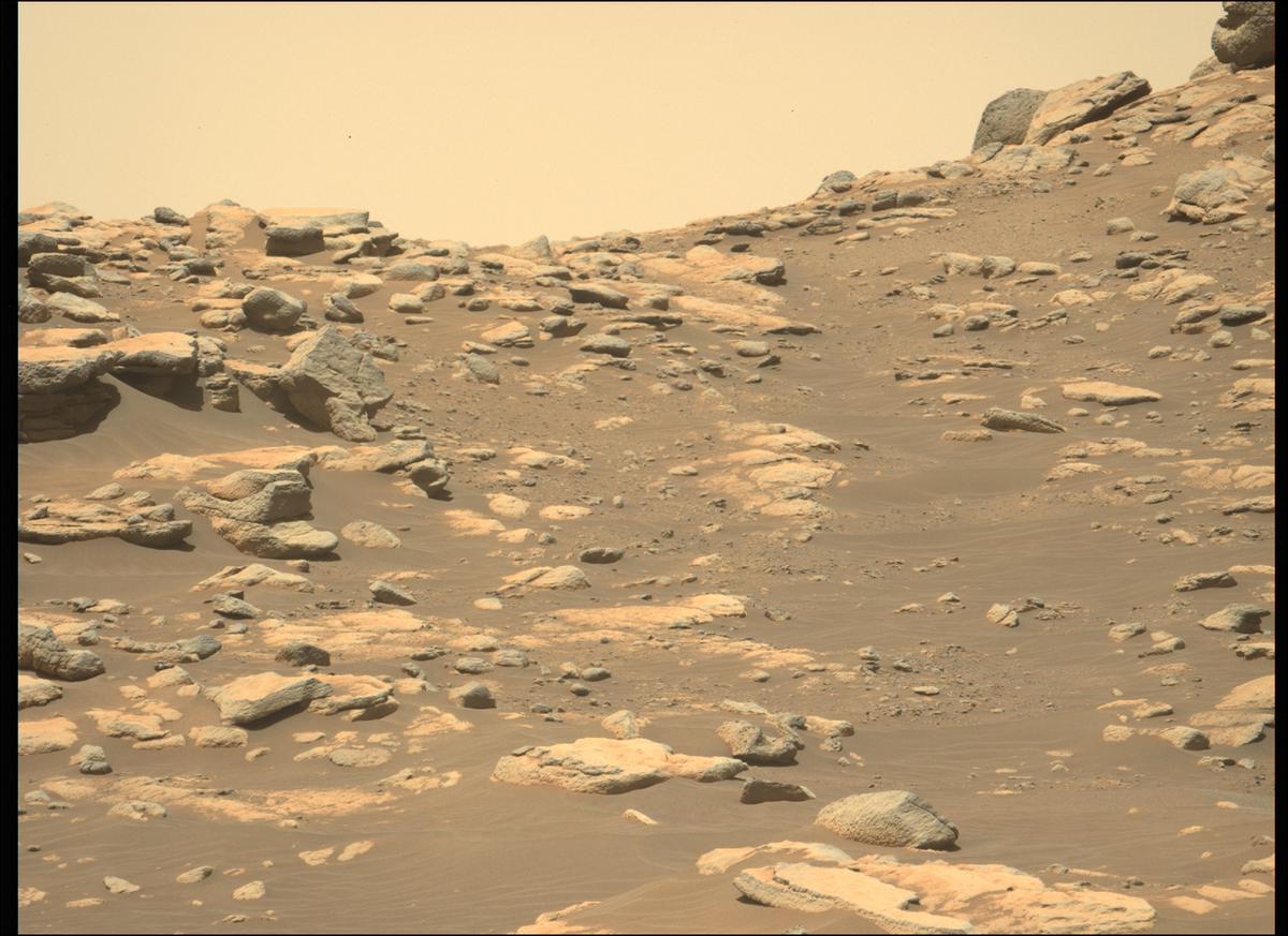 This image was taken by MCZ_LEFT onboard NASA's Mars rover Perseverance on Sol 203