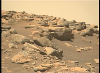 View image taken on Mars, Mars Perseverance Sol 203: Left Mastcam-Z Camera