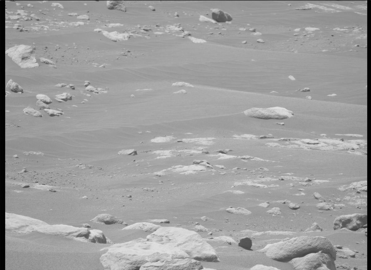 This image was taken by MCZ_LEFT onboard NASA's Mars rover Perseverance on Sol 203