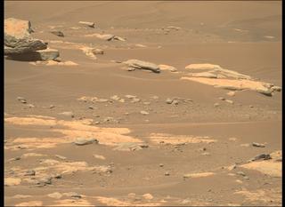 View image taken on Mars, Mars Perseverance Sol 203: Right Mastcam-Z Camera