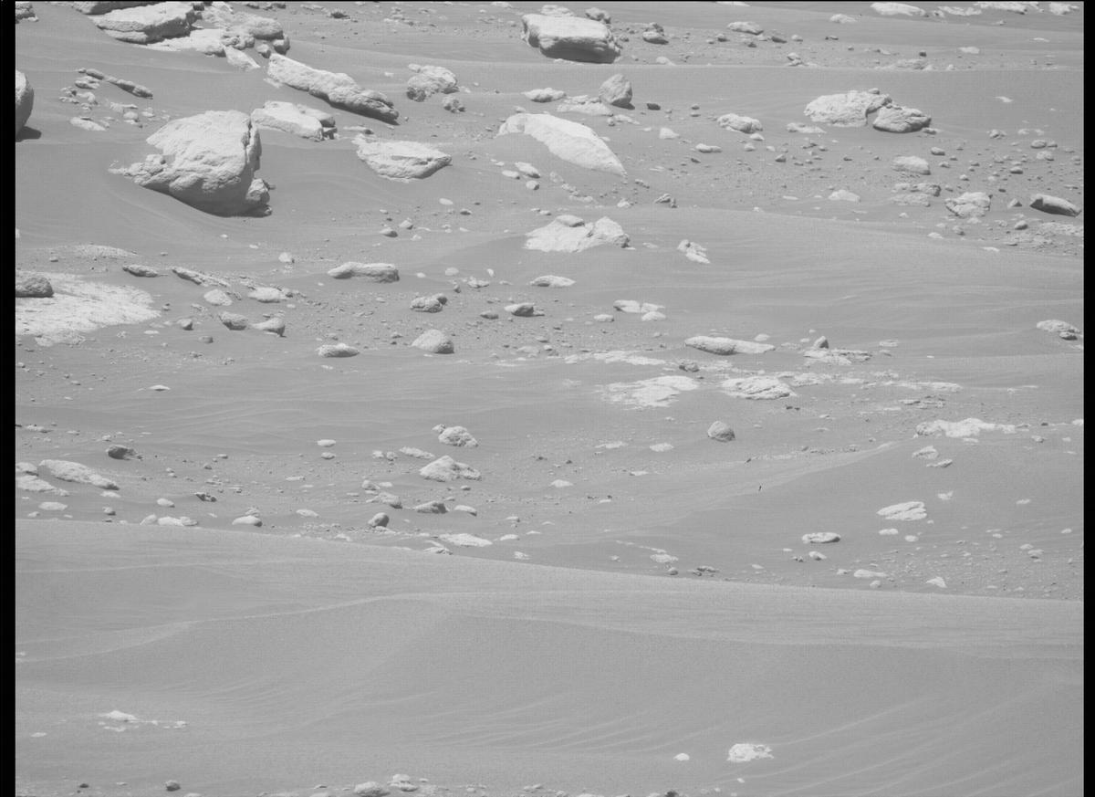This image was taken by MCZ_RIGHT onboard NASA's Mars rover Perseverance on Sol 203