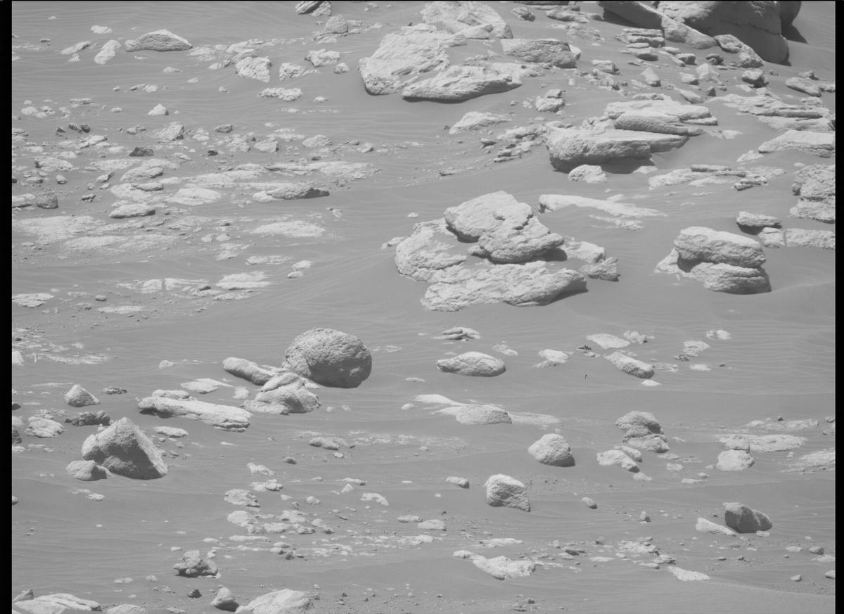 This image was taken by MCZ_RIGHT onboard NASA's Mars rover Perseverance on Sol 203