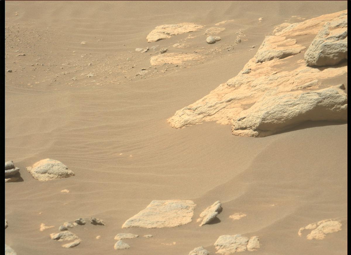 This image was taken by MCZ_LEFT onboard NASA's Mars rover Perseverance on Sol 204