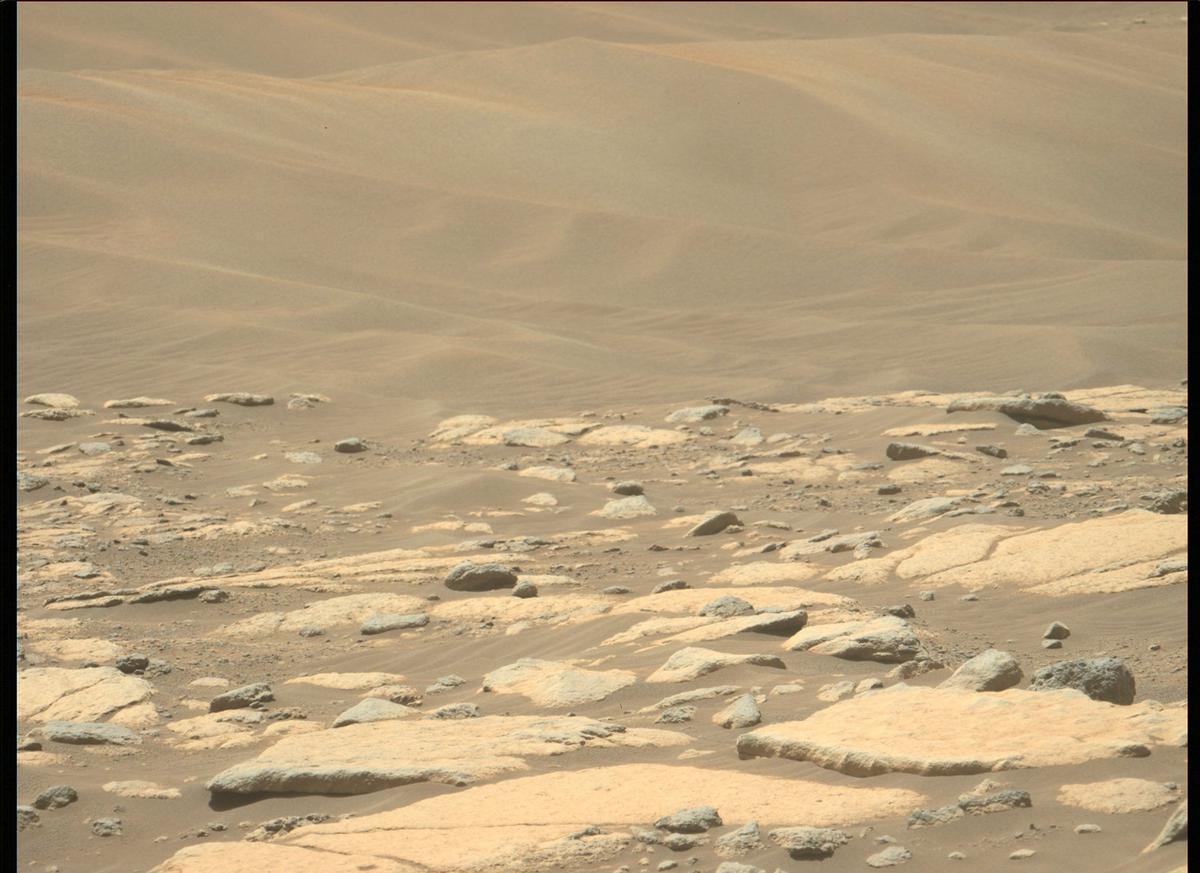 This image was taken by MCZ_LEFT onboard NASA's Mars rover Perseverance on Sol 204