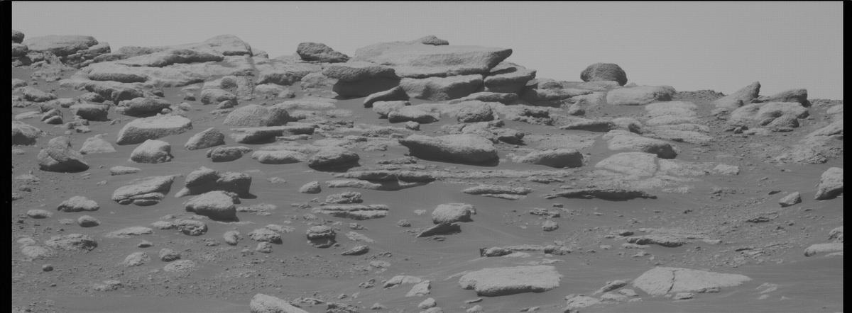 This image was taken by MCZ_LEFT onboard NASA's Mars rover Perseverance on Sol 204