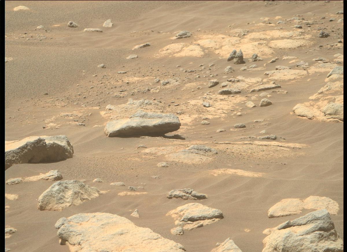 This image was taken by MCZ_RIGHT onboard NASA's Mars rover Perseverance on Sol 204