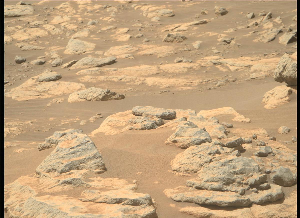 This image was taken by MCZ_RIGHT onboard NASA's Mars rover Perseverance on Sol 204