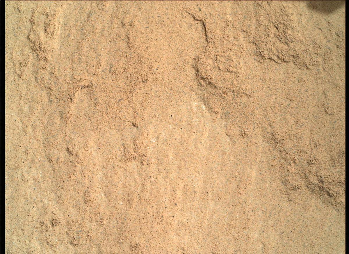 This image was taken by SHERLOC_WATSON onboard NASA's Mars rover Perseverance on Sol 205