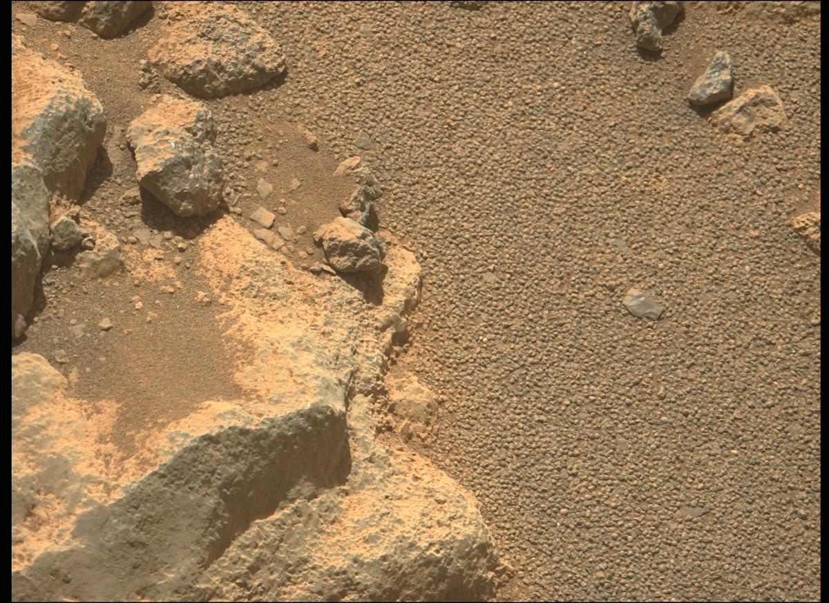 This image was taken by MCZ_LEFT onboard NASA's Mars rover Perseverance on Sol 205