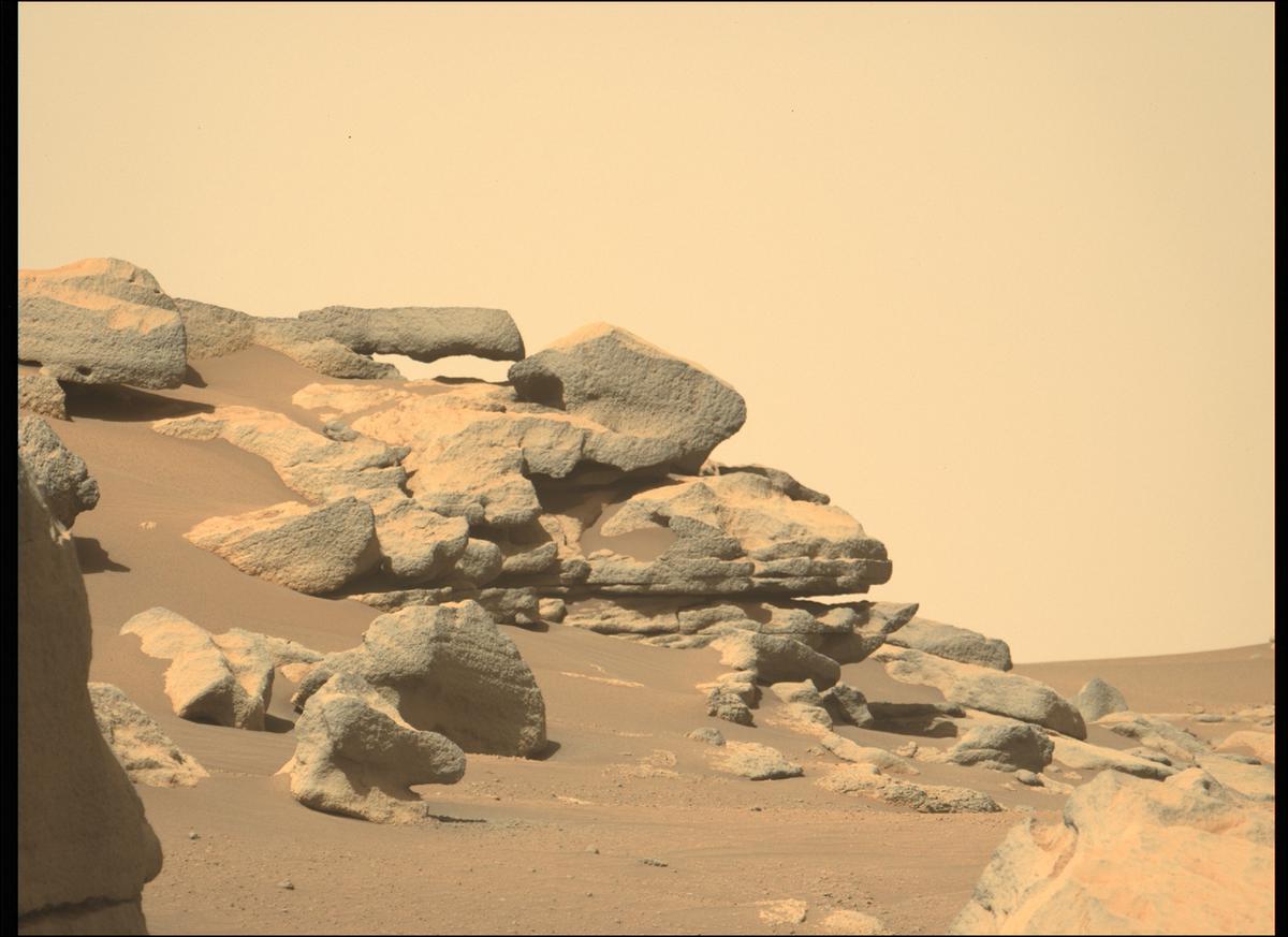 This image was taken by MCZ_LEFT onboard NASA's Mars rover Perseverance on Sol 205
