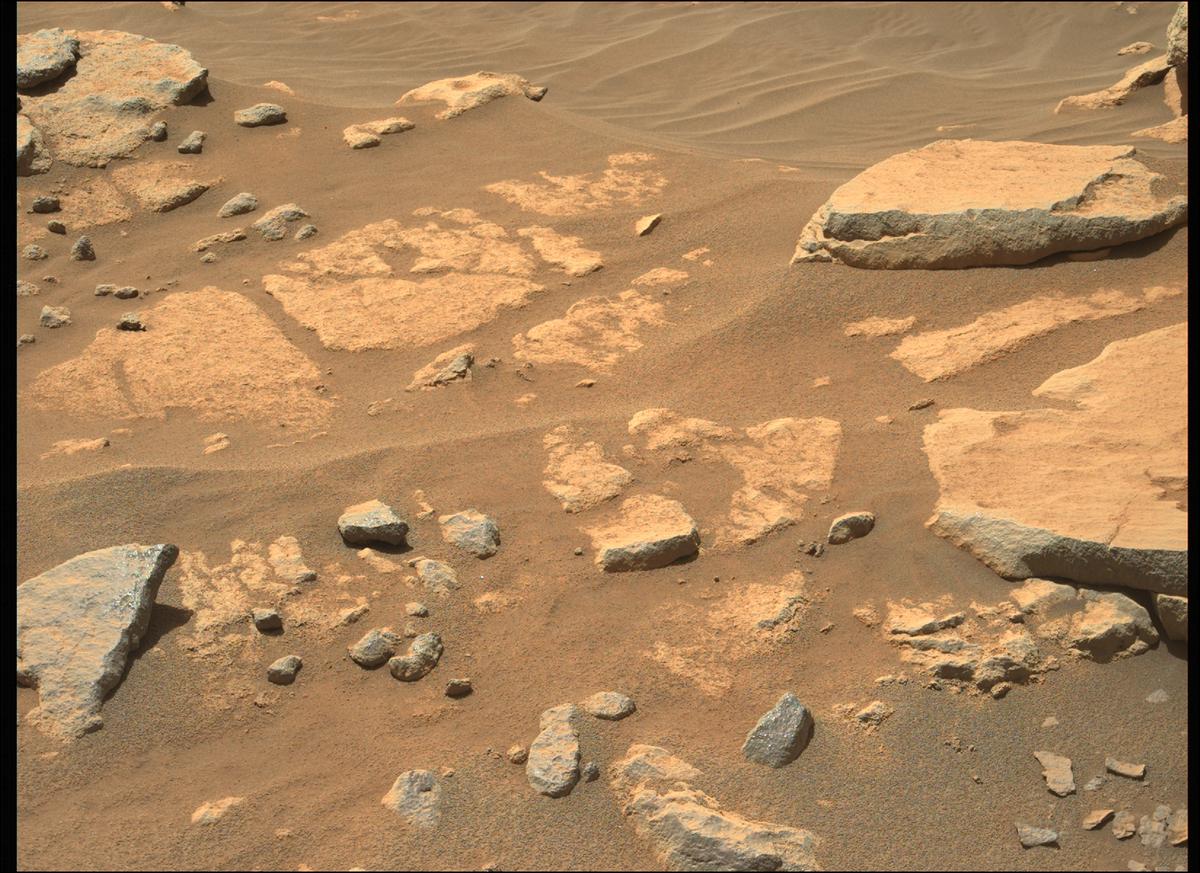 This image was taken by MCZ_LEFT onboard NASA's Mars rover Perseverance on Sol 205