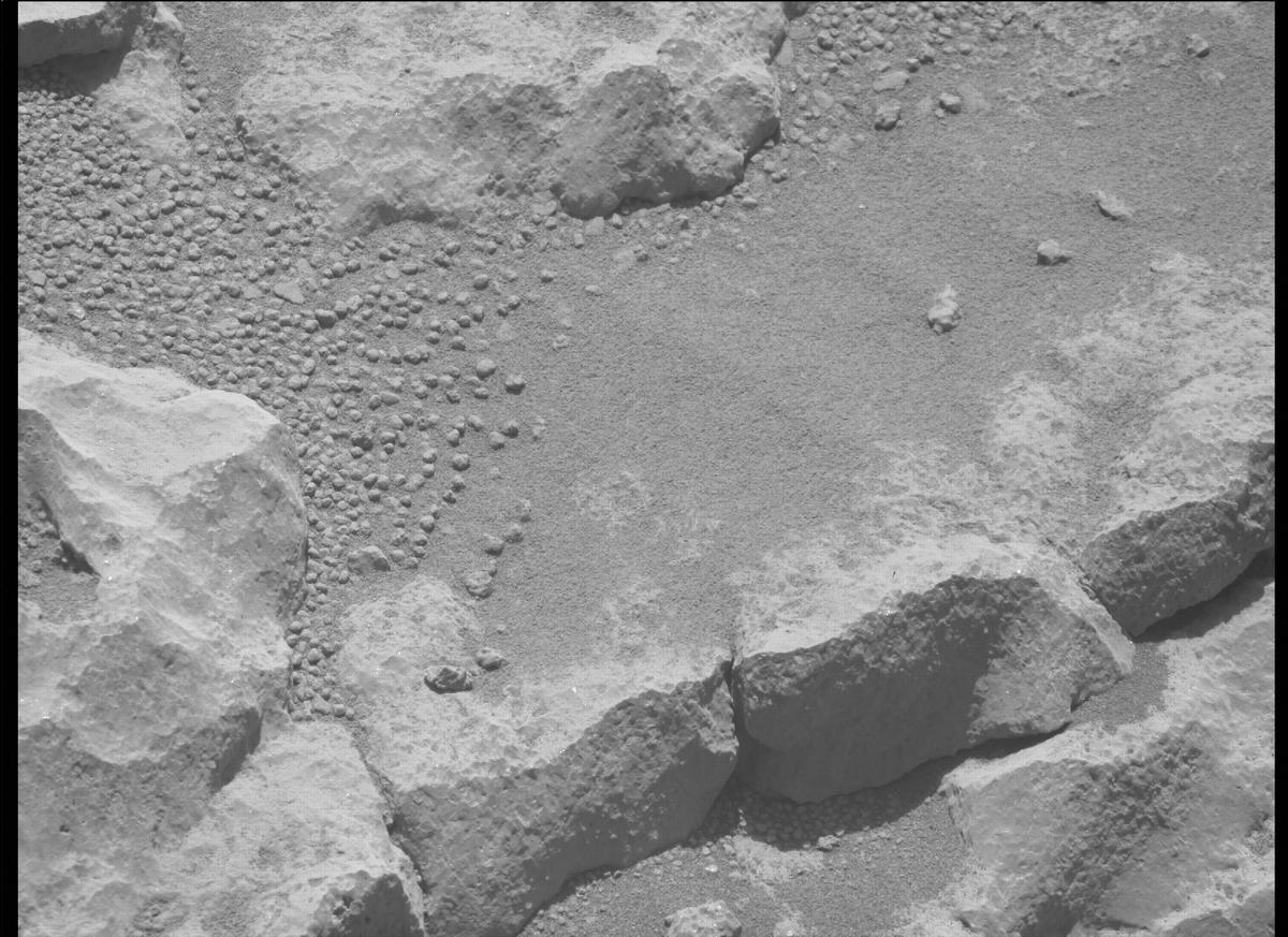 This image was taken by MCZ_RIGHT onboard NASA's Mars rover Perseverance on Sol 205