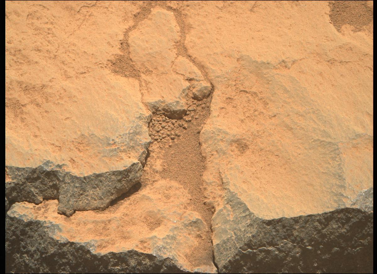 This image was taken by MCZ_RIGHT onboard NASA's Mars rover Perseverance on Sol 205