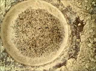 View image taken on Mars, Mars Perseverance Sol 206: WATSON Camera 