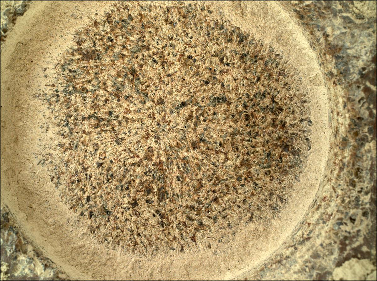 This image was taken by SHERLOC_WATSON onboard NASA's Mars rover Perseverance on Sol 206