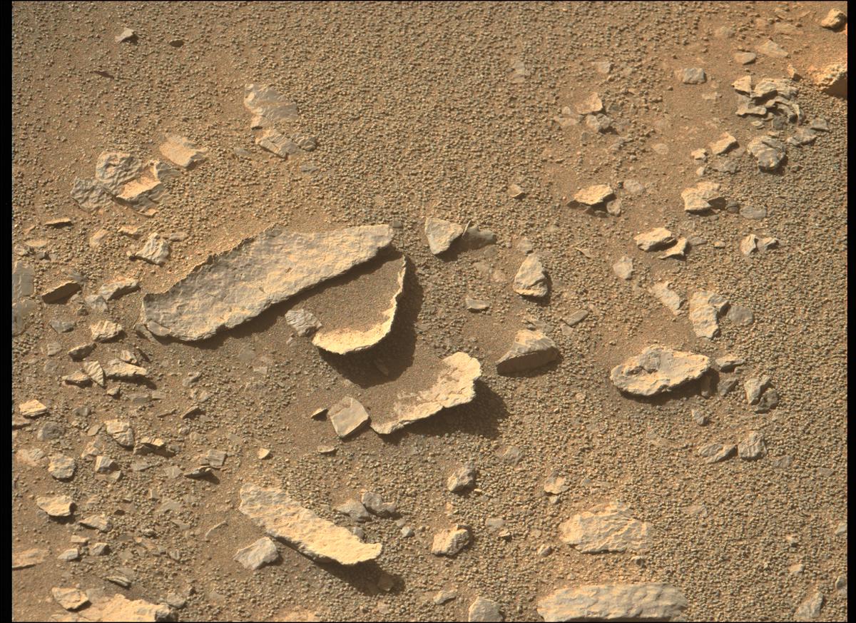 This image was taken by MCZ_LEFT onboard NASA's Mars rover Perseverance on Sol 206