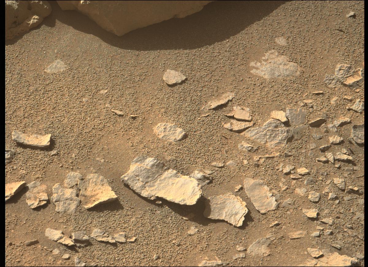 This image was taken by MCZ_LEFT onboard NASA's Mars rover Perseverance on Sol 206