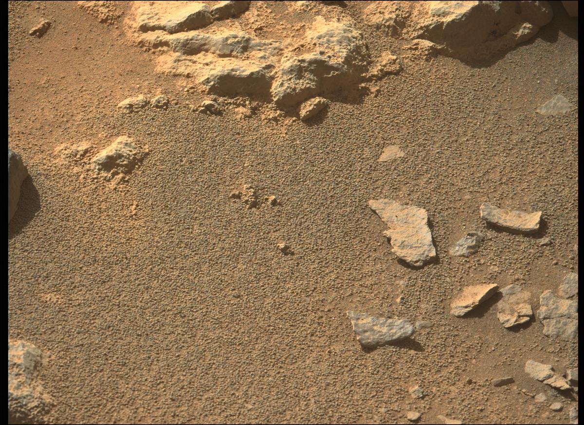 This image was taken by MCZ_LEFT onboard NASA's Mars rover Perseverance on Sol 206