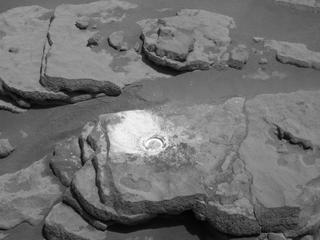 View image taken on Mars, Mars Perseverance Sol 207: Left Navigation Camera (Navcam)