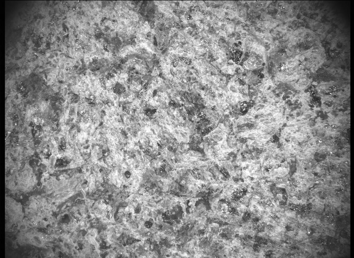 This image was taken by SHERLOC_ACI onboard NASA's Mars rover Perseverance on Sol 207