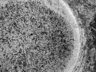 View image taken on Mars, Mars Perseverance Sol 207: WATSON Camera 