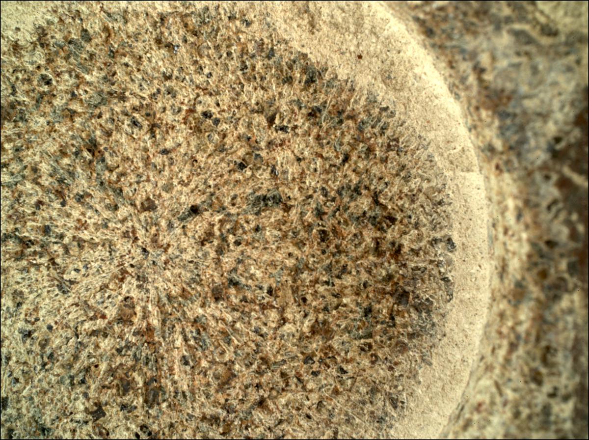 This image was taken by SHERLOC_WATSON onboard NASA's Mars rover Perseverance on Sol 207