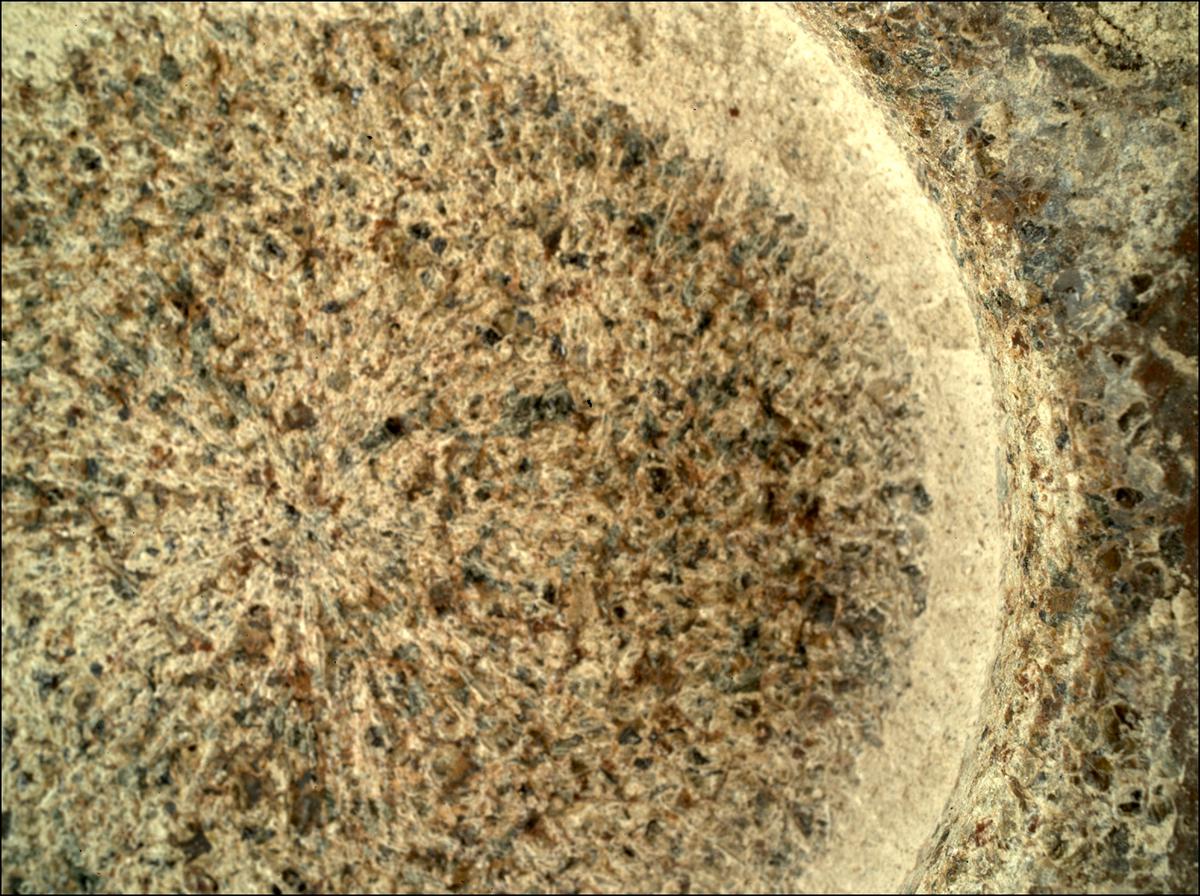 This image was taken by SHERLOC_WATSON onboard NASA's Mars rover Perseverance on Sol 207