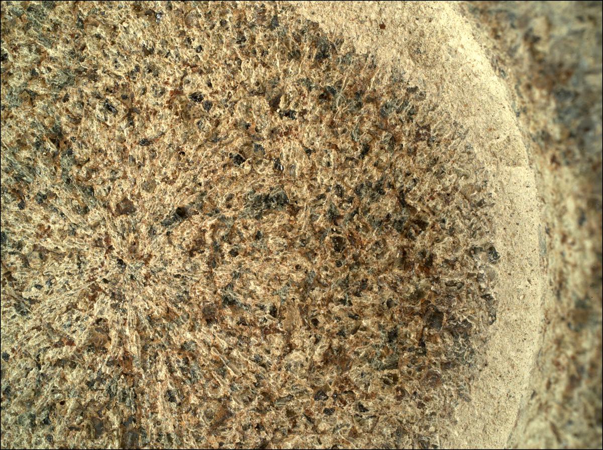 This image was taken by SHERLOC_WATSON onboard NASA's Mars rover Perseverance on Sol 207