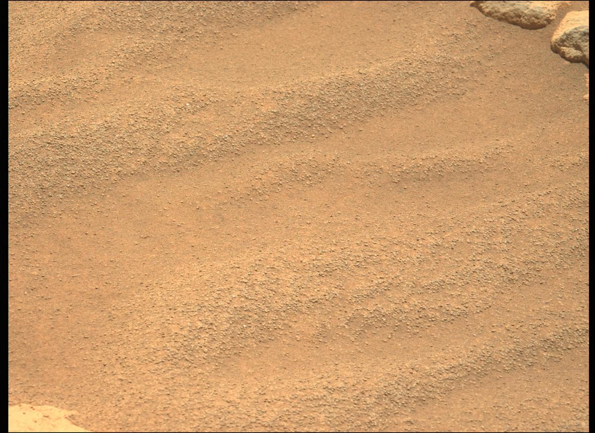 This image was taken by MCZ_LEFT onboard NASA's Mars rover Perseverance on Sol 207