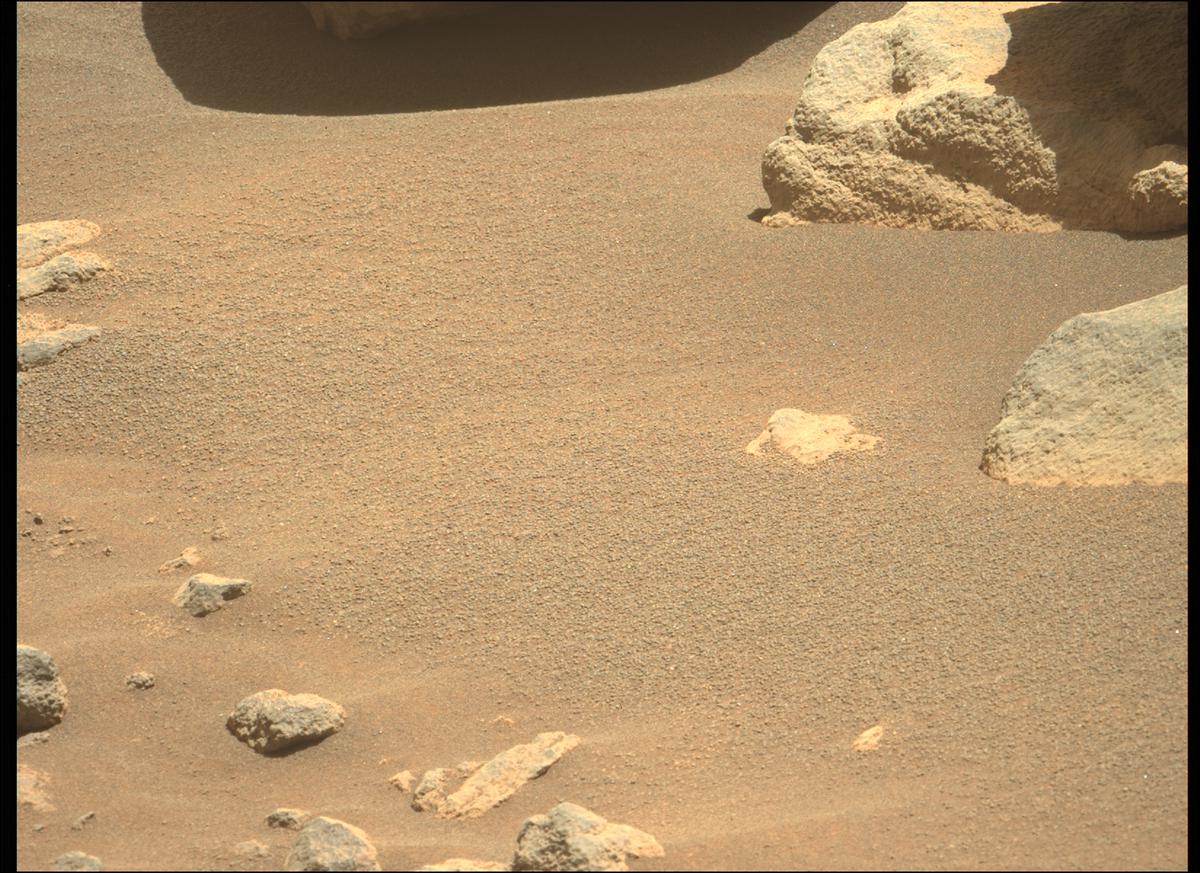 This image was taken by MCZ_LEFT onboard NASA's Mars rover Perseverance on Sol 207
