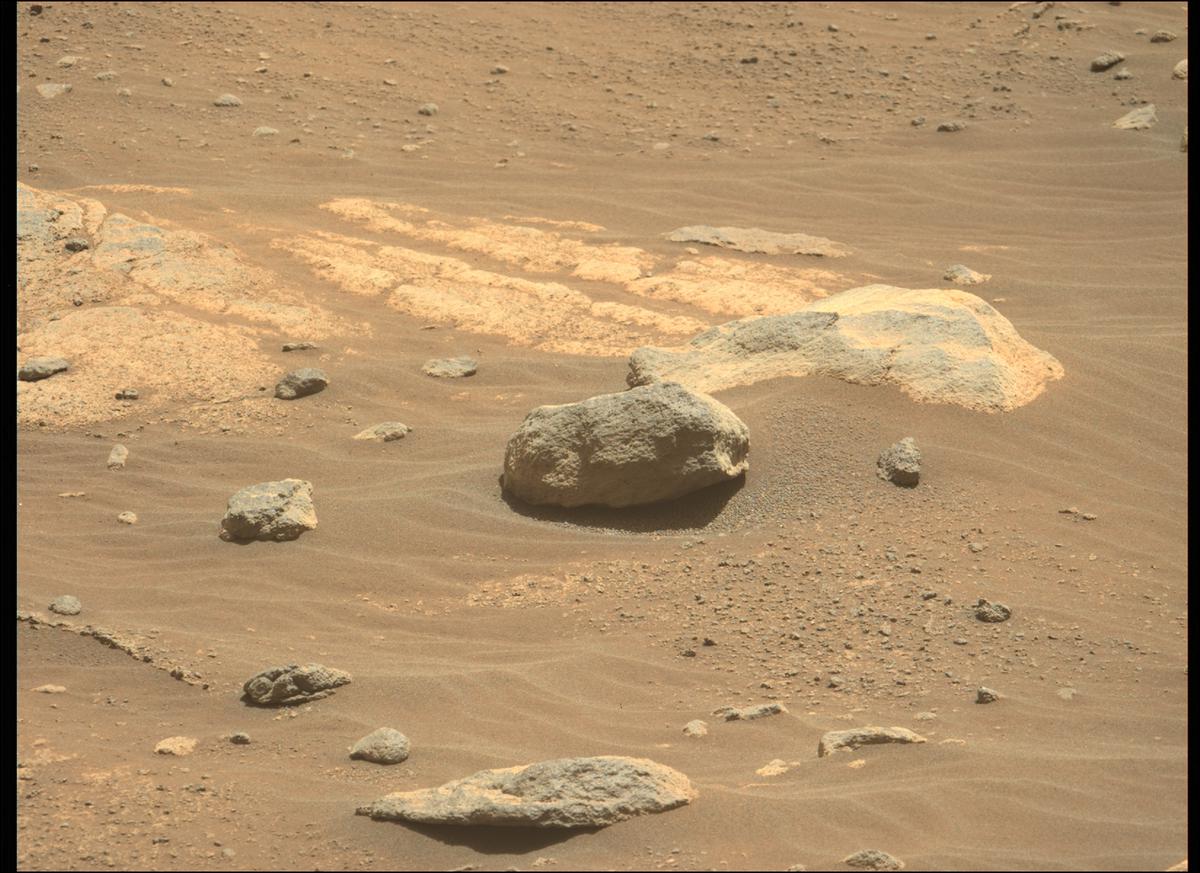 This image was taken by MCZ_LEFT onboard NASA's Mars rover Perseverance on Sol 207