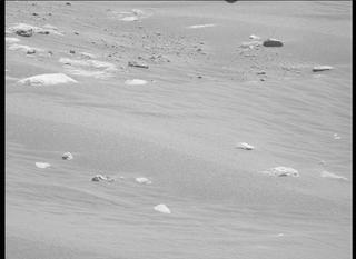View image taken on Mars, Mars Perseverance Sol 207: Left Mastcam-Z Camera