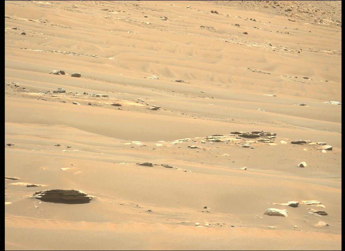 This image was taken by MCZ_LEFT onboard NASA's Mars rover Perseverance on Sol 207