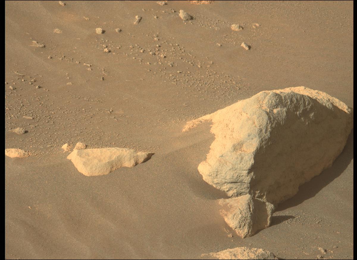 This image was taken by MCZ_LEFT onboard NASA's Mars rover Perseverance on Sol 207