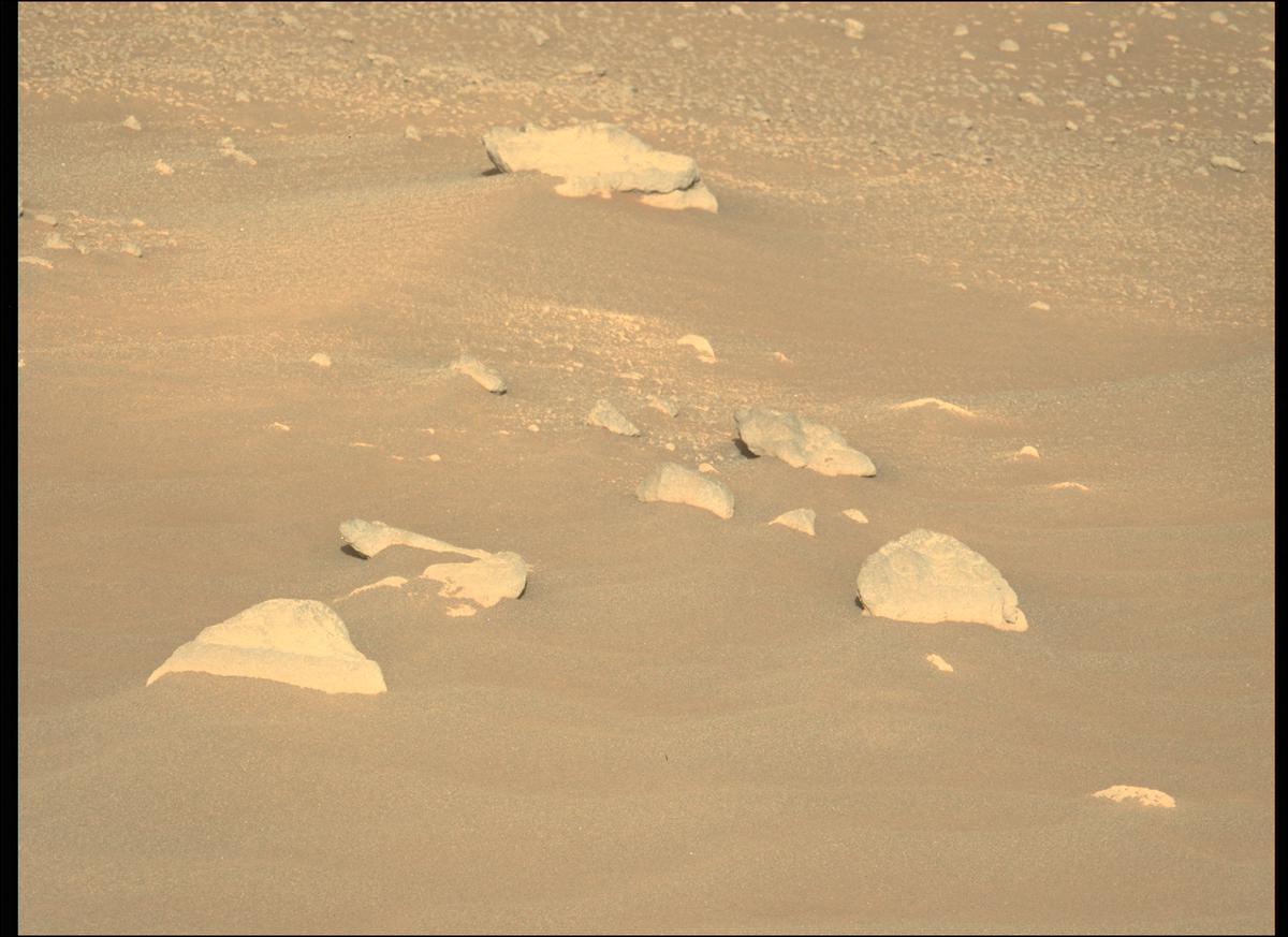 This image was taken by MCZ_LEFT onboard NASA's Mars rover Perseverance on Sol 207