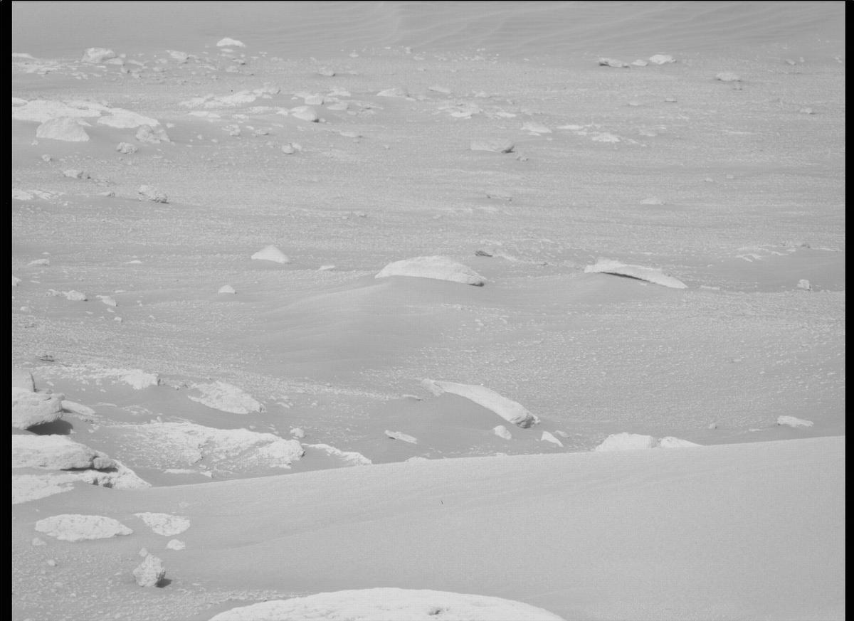 This image was taken by MCZ_LEFT onboard NASA's Mars rover Perseverance on Sol 207