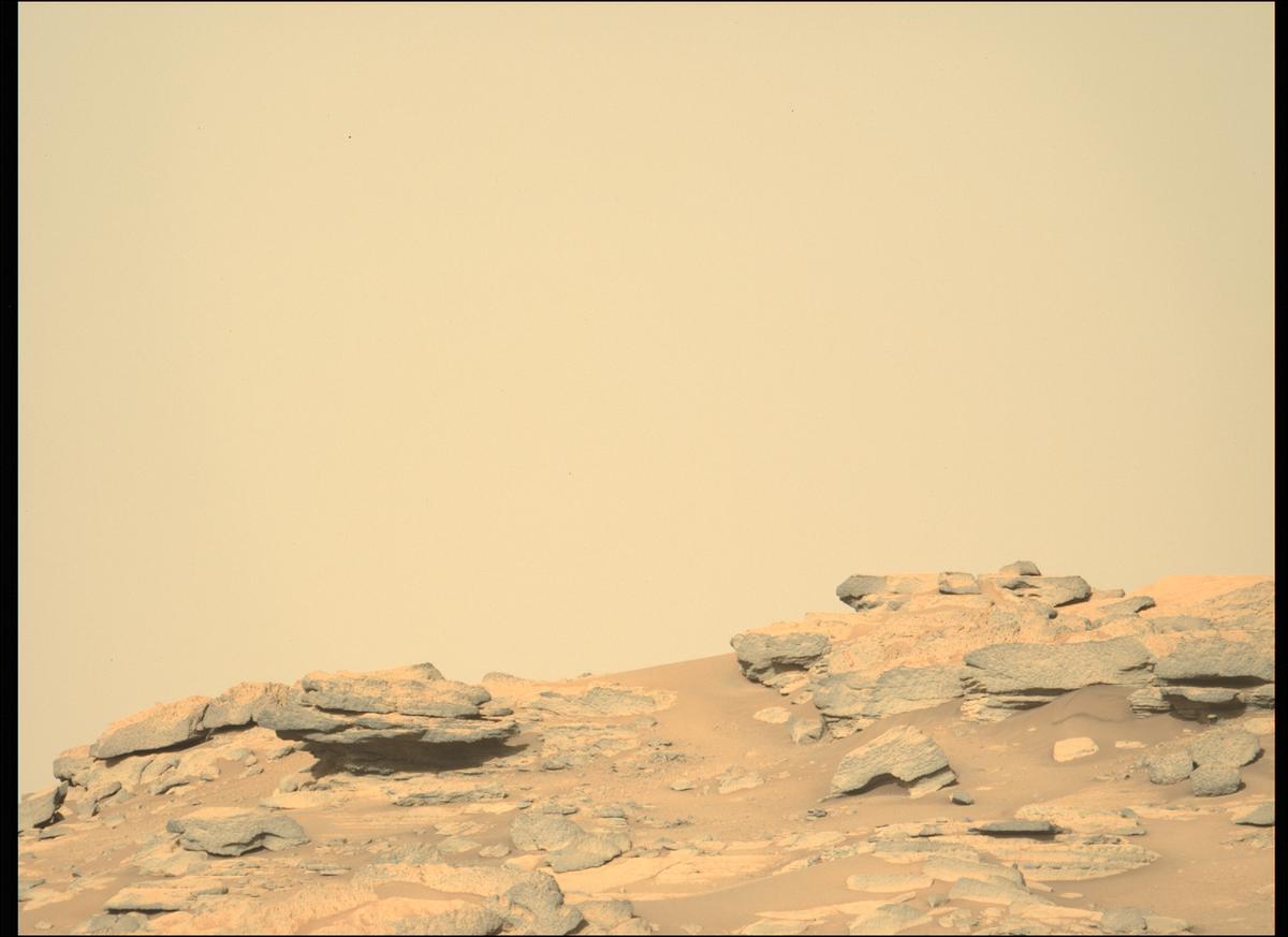 This image was taken by MCZ_LEFT onboard NASA's Mars rover Perseverance on Sol 207