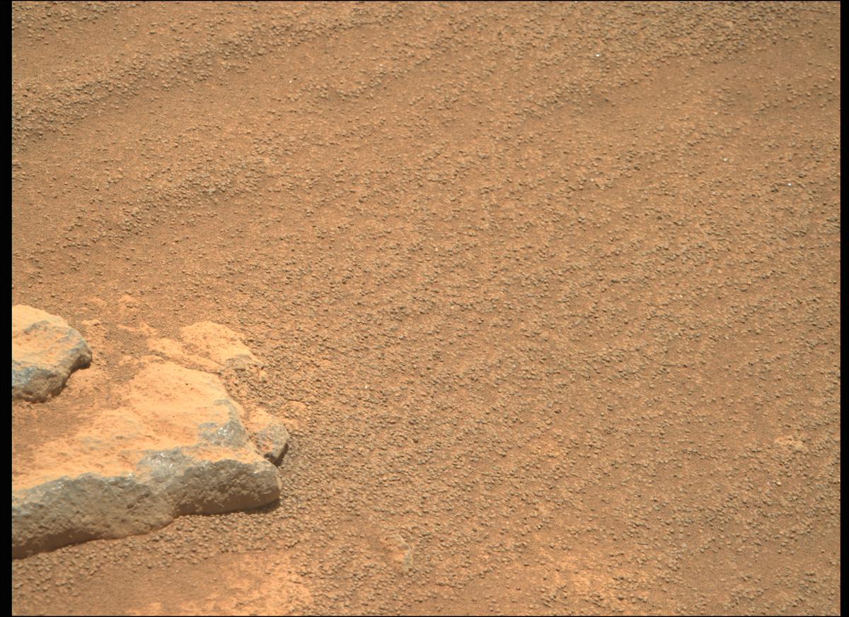 This image was taken by MCZ_RIGHT onboard NASA's Mars rover Perseverance on Sol 207