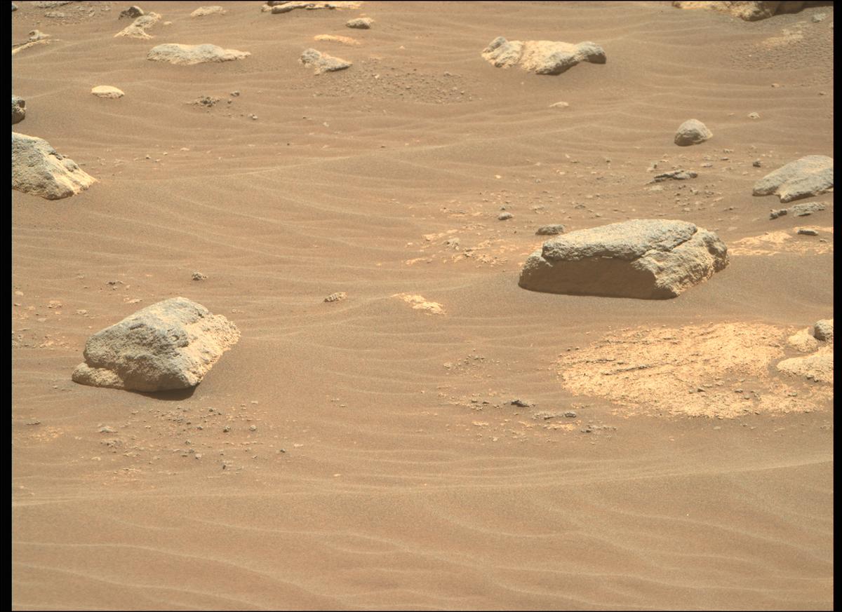 This image was taken by MCZ_RIGHT onboard NASA's Mars rover Perseverance on Sol 207